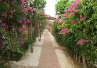 /album/paradis-2-une-residence-de-saly/allee-saly-paradis-jpg/